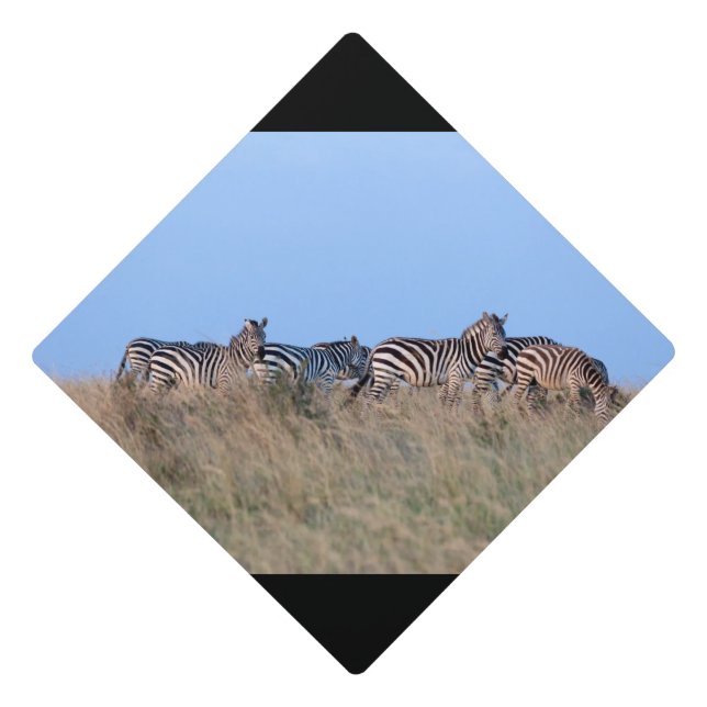 Zebras at dusk graduation cap topper (Front)