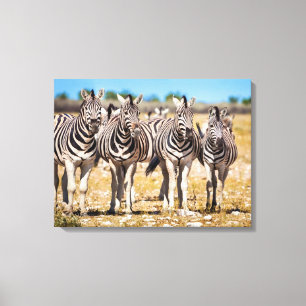 Zebras Canvas Print