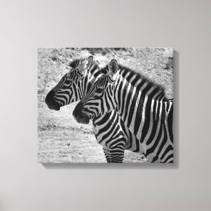 Zebras Canvas Print