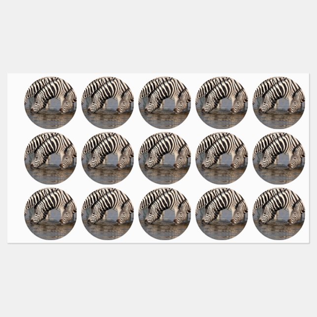 Zebras drinking (Sheet)