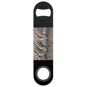 Zebras drinking bar key