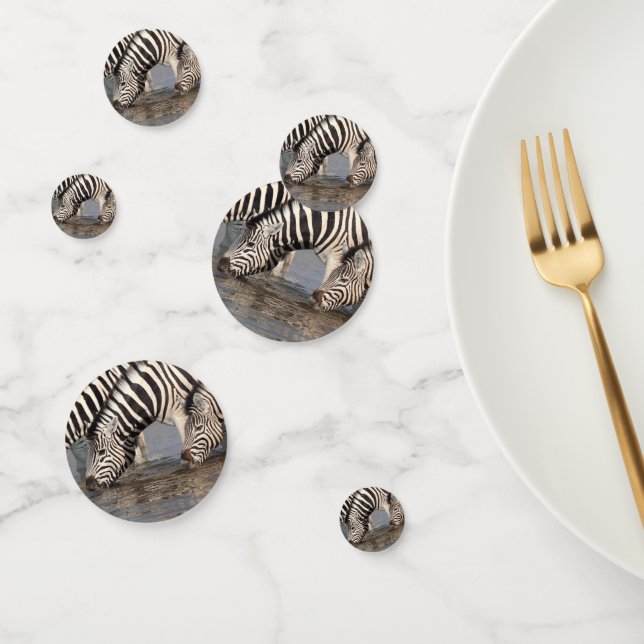 Zebras drinking confetti (Group)