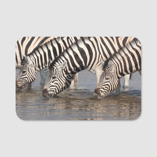 Zebras drinking name tag (Front)