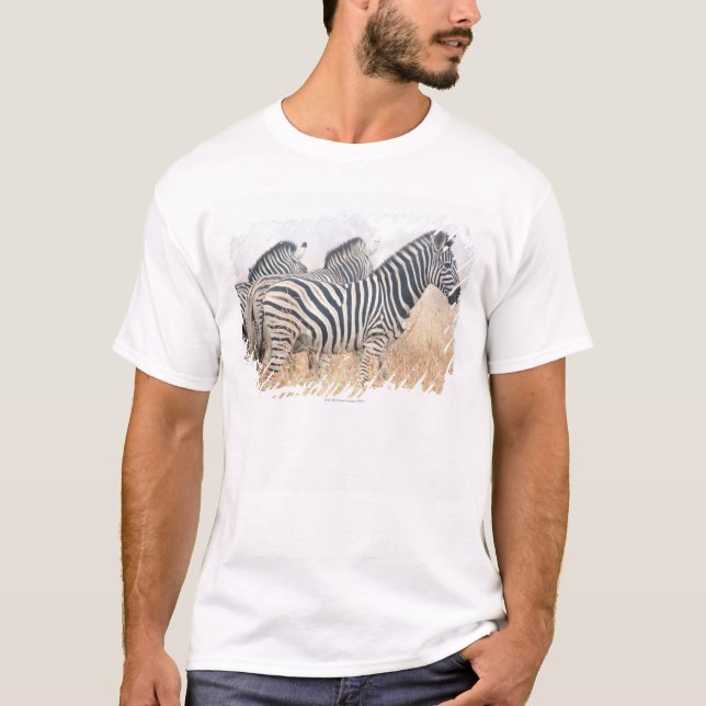 Zebras in early morning dust, Kruger National 2 T-Shirt (Front)