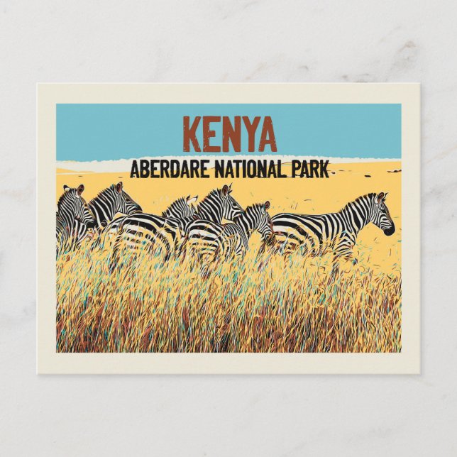 Zebras in Kenya, Aberdare National Park Postcard (Front)