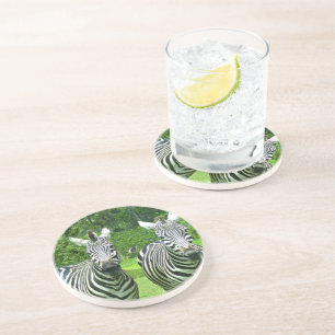 Zebras in Meadow Echo Coaster