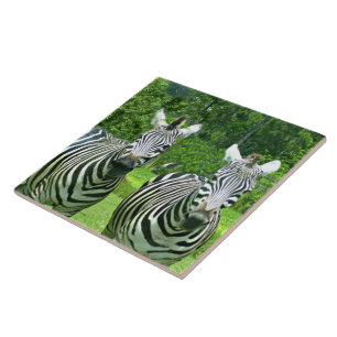 Zebras in Meadow Harmony Tile