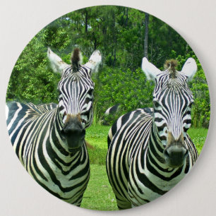 Zebras in Meadow Moment 6 Inch Round Button