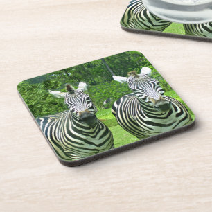 Zebras in Meadow Pause Coaster