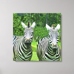 Zebras in Meadow Stillness Canvas Print