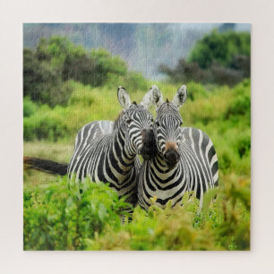 Zebras in the wild jigsaw puzzle