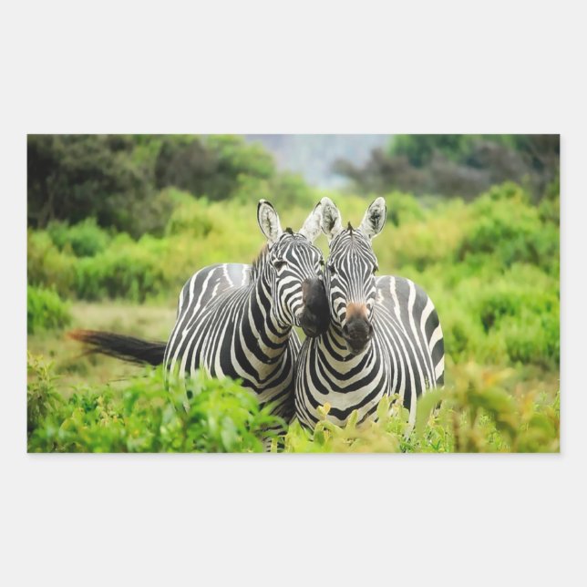 Zebras in the wild sticker (Front)