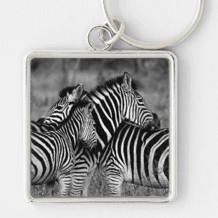 Zebras Keychain