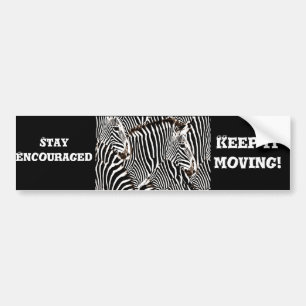 Zebras love_ bumper sticker