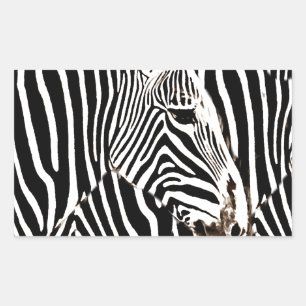 Zebras love_ sticker