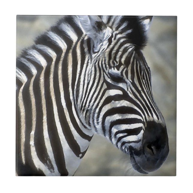 Zebras Lovers Art Tile (Front)