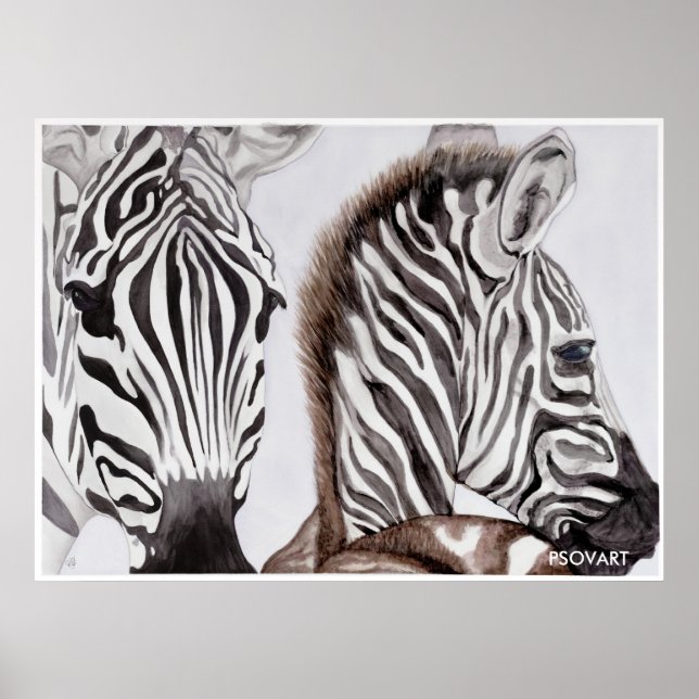 Zebras Mother and Child Poster (Front)