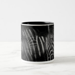 Zebras Mug