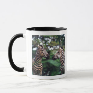 zebras mug