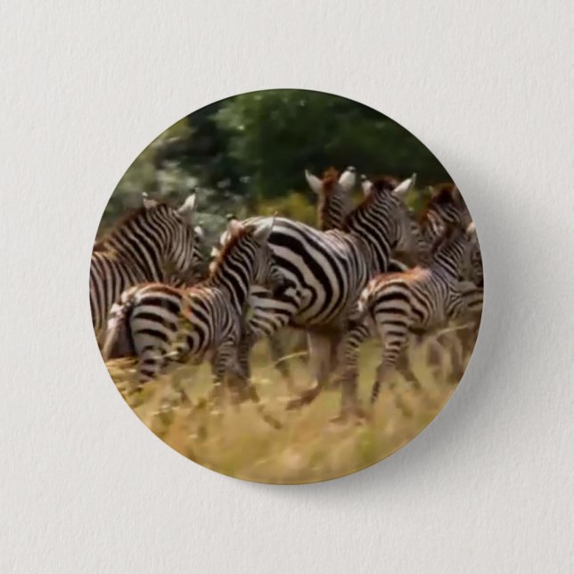 Zebras on the Move: A Journey of a Thousand Miles 2 Inch Round Button (Front)