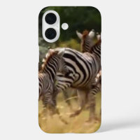 Zebras on the Move: A Journey of a Thousand Miles 