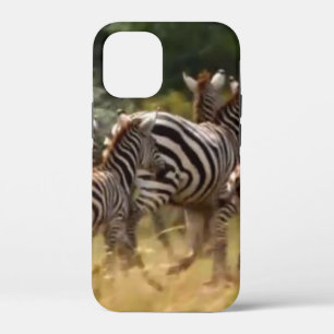 Zebras on the Move: A Journey of a Thousand Miles  iPhone 12 Mini Case