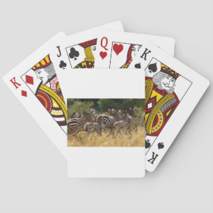 Zebras on the Move: A Journey of a Thousand Miles Playing Cards