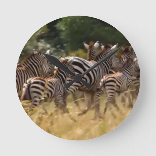 Zebras on the Move: A Journey of a Thousand Miles Round Clock (Front)
