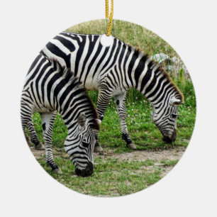 Zebras Ornament