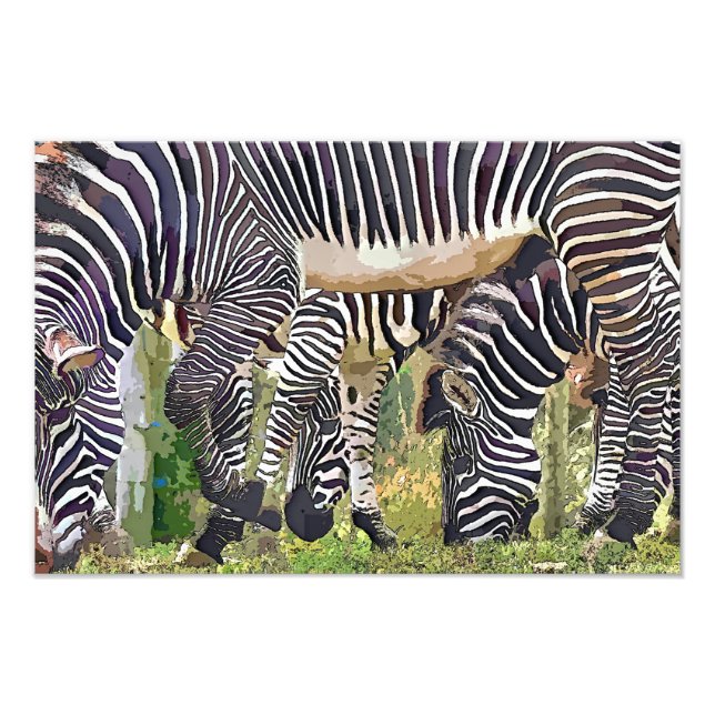 ZEBRAS PHOTO PRINT (Front)