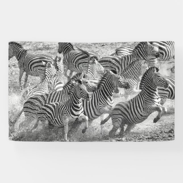 Zebras running banner (Horizontal)