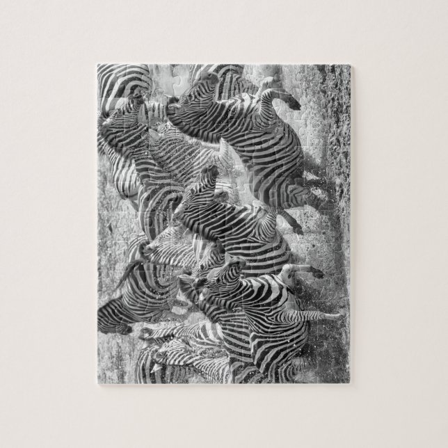 Zebras running jigsaw puzzle (Vertical)