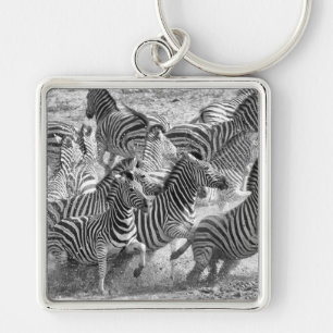 Zebras running keychain