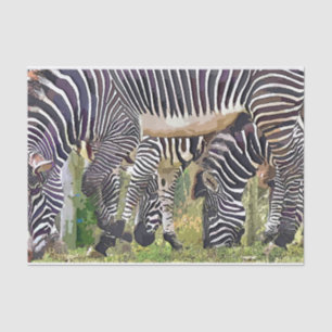 ZEBRAS TISSUE PAPER