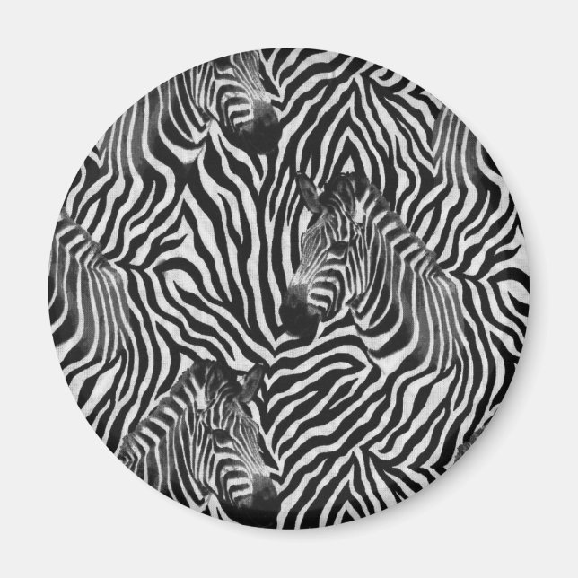 Zebtas Magnet (Front)