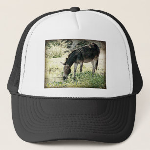 "Zedonk" Trucker Hat