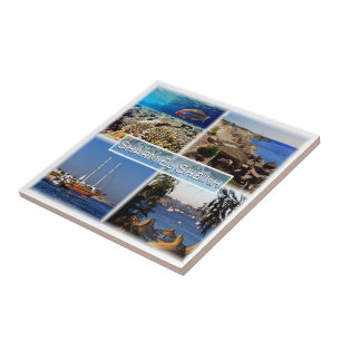 zEG063 SHARM EL SHEIKH in Red Sea, EGYPT, Tile