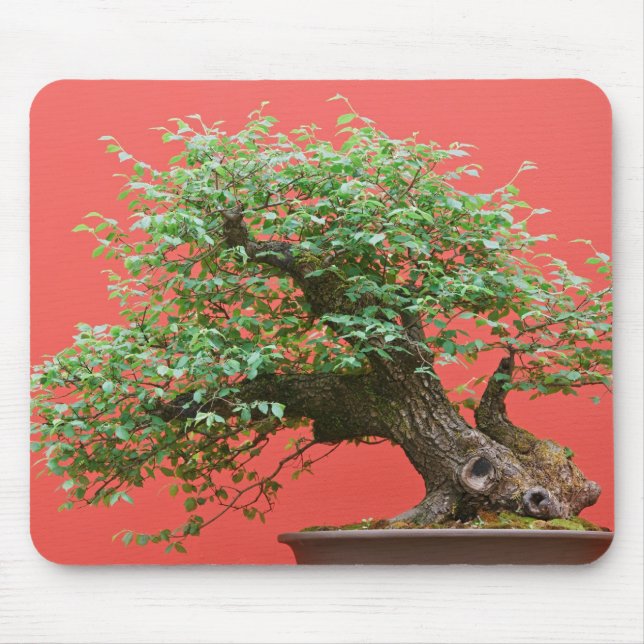 Zelkova bonsai tree mouse pad (Front)