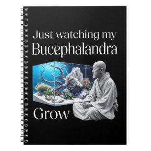 Zen and Bucephalandra – The Art of Aquascaping Notebook