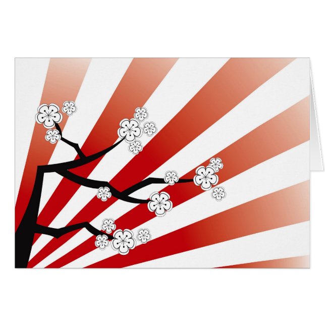 Zen blanc de fleurs de fleurs de cerisier de lever (Devant Horizontal)