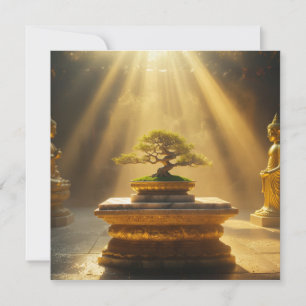 ZEN - BUDDHISM - MEDITATION