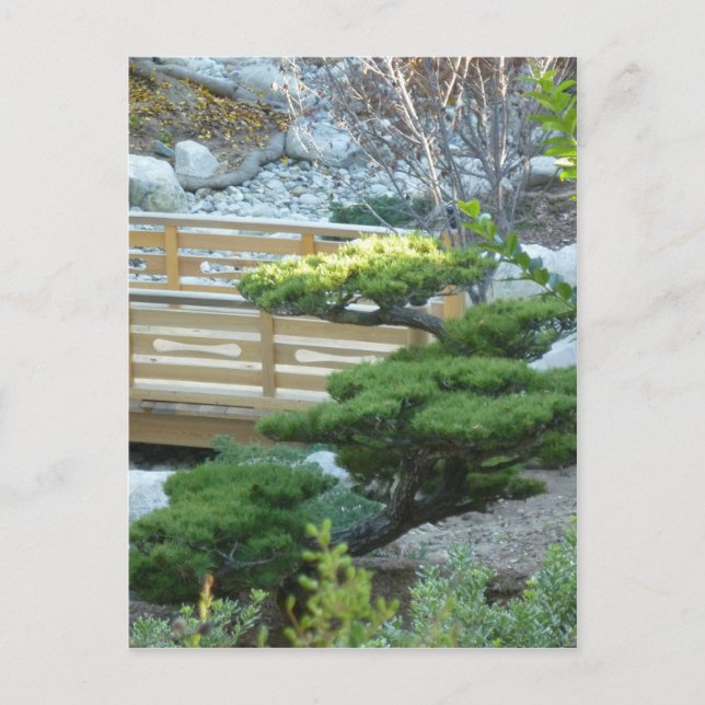 Zen Garden Postcard (Front)