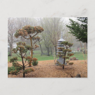 Zen Garden Postcard