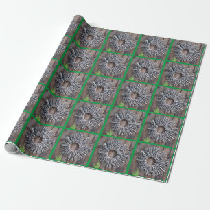 Zen Gardening Wrapping Paper