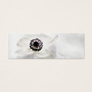 Zen High Key White Anemone on Water Background