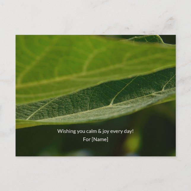Zen Leaf Postcard – Personalized Nature GrPostcard (Front)