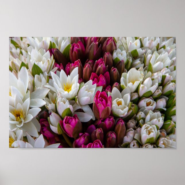 Zen Lotus Flower Bouquet Poster (Front)