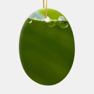 Zen Love Green Lotus Leaf Water Drop Ceramic Ornament