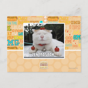 Zen Mastah Postcard
