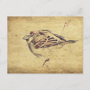 Zen Oriental art pencil sketch wild bird Postcard